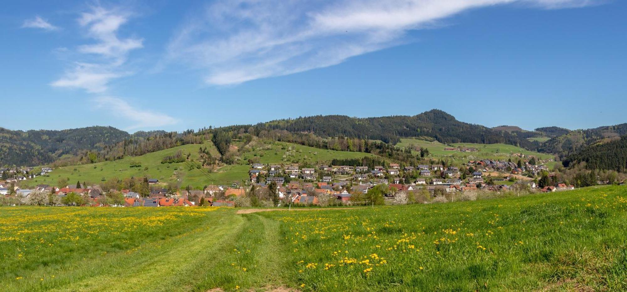 Ferienwohnung Haus Irmgard Zell am Harmersbach Exterior foto